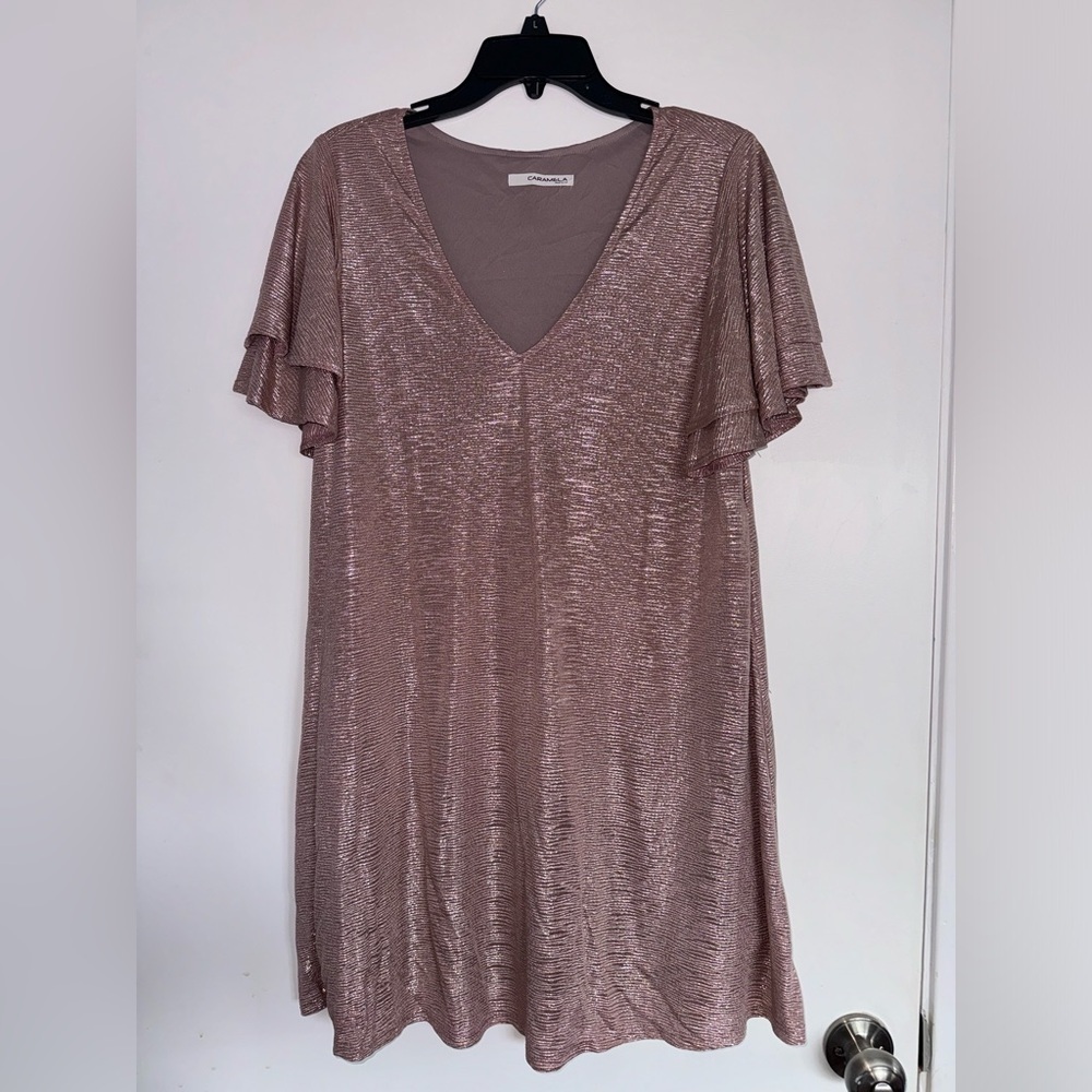 ✨ Caramela Ruffle Sleeve Mini Dress - Size S Pink Champagne 💖